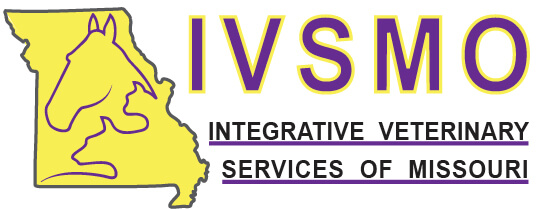 IVSMO logo