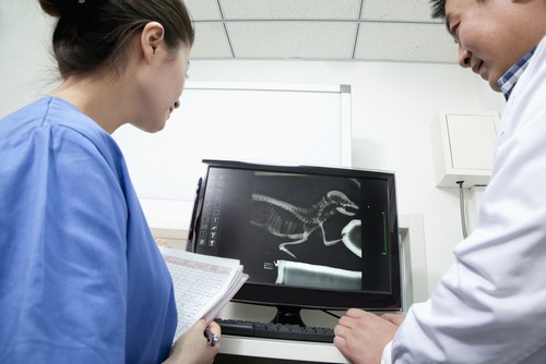 digital-radiology